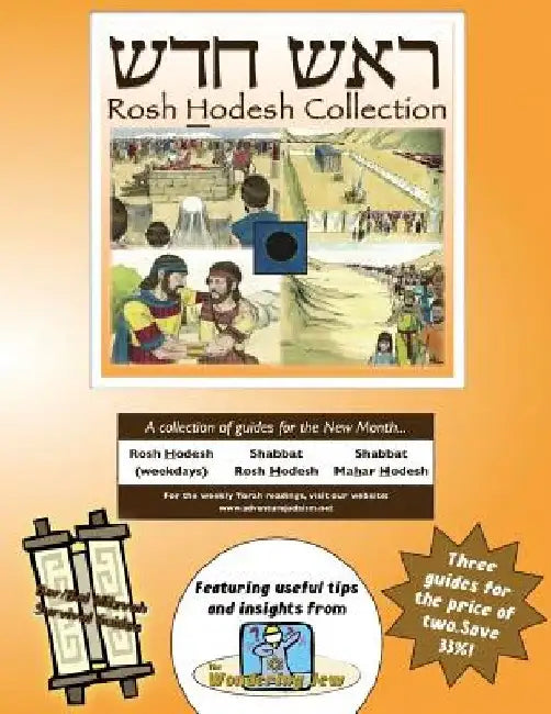 Bar/Bat Mitzvah Survival Guides: Rosh Hodesh Collection by Elliott Michaelson Majs