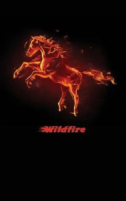 Wildfire: A Horse Diary to Write Your Story by Learn-Work Guides