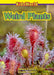 Weird Plants by Tamara Einstein
