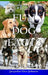 Fun Dog Facts for Kids 9-12 by Jacquelyn Elnor Johnson