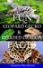 Fun Leopard Gecko and Bearded Dragon Facts for Kids 9-12 by Jacquelyn Elnor Johnson