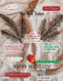 Review Tales - A Book Magazine For Indie Authors - 5th Edition (Winter 2023) by Main, S. Jeyran