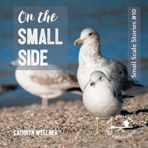 On the Small Side by Cathryn Wellner
