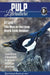 Pulp Literature Autumn 2019: Issue 24 by Jj Lee
