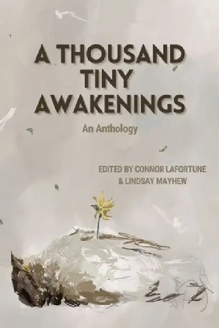 A Thousand Tiny Awakenings by Connor Lafortune