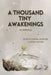 A Thousand Tiny Awakenings by Connor Lafortune