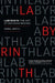 Labyrinth: The Art of Decision-Making by Pawel Motyl