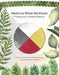 Medicine Wheel Workbook: Finding Your Healthy Balance by Carrie Armstrong