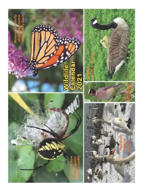 Wildlife Calendar 2021 by Barbara a. Fanson