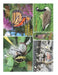 Wildlife Calendar 2021 by Barbara a. Fanson