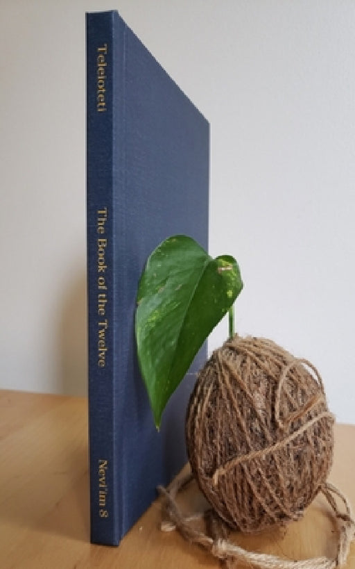 The Book of the Twelve: A Journal for the Hebrew Scriptures by J. Alexander Rutherford