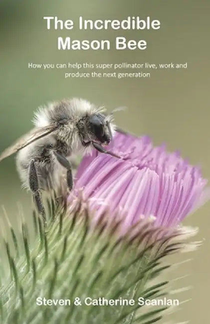 The Incredible Mason Bee by Steven Scanlan