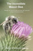 The Incredible Mason Bee by Steven Scanlan