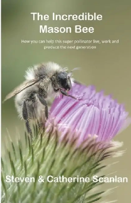 Incredible Mason Bee by Steven Scanlan