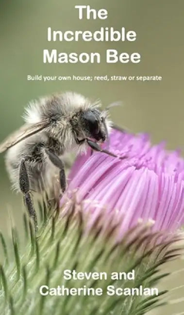 The Incredible Mason Bee by Steven Scanlan
