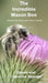 The Incredible Mason Bee by Steven Scanlan