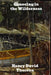 Canoeing in the Wilderness by Henry David Thoreau