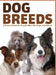 Dog Breeds: A Picture Book for People Who Like Dogs, Not Words by Lasting Happiness
