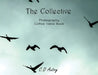The Collective: Photography Coffee Table Book by Autry, C. D.
