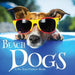 Beach Dogs, A No Text Picture Book: A Calming Gift for Alzheimer Patients and Senior Citizens Living With Dementia by Lasting Happiness