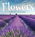 Flowers, A No Text Picture Book: A Calming Gift for Alzheimer Patients and Senior Citizens Living With Dementia by Lasting Happiness