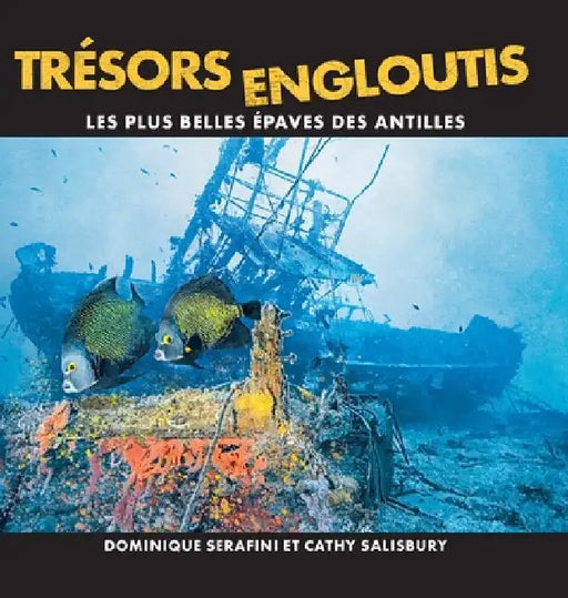 Trésors Engloutis: Les plus belles épaves des Antilles by Dominique Serafini
