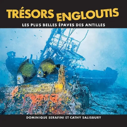 Trésors Engloutis: Les plus belles épaves des Antilles by Dominique Serafini