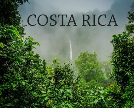 Costa Rica: Travel Book on Costa Rica by Elyse Booth
