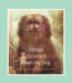 Things I Learned from My Dog by Victor D. O. Santos, Dena Seiferling