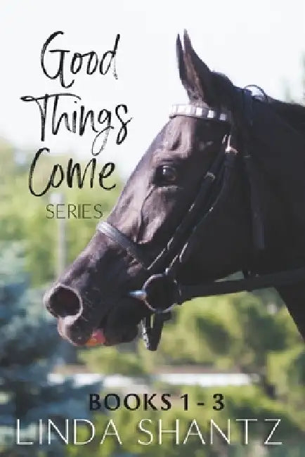 The Good Things Come Series: Books 1-3 by Linda Shantz