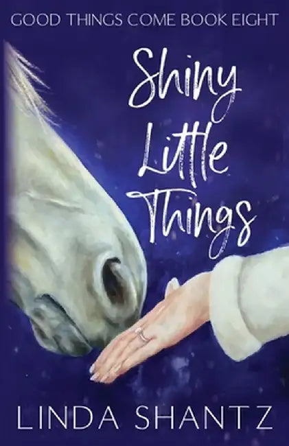 Shiny Little Things by Linda Shantz