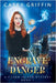Engrave Danger by Griffin, Casey