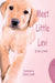 Meet Little Levi by Cassidy; Connell, Mary Connell