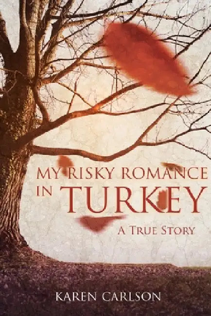 My Risky Romance in Turkey by Karen Carlson