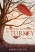 My Risky Romance in Turkey by Karen Carlson