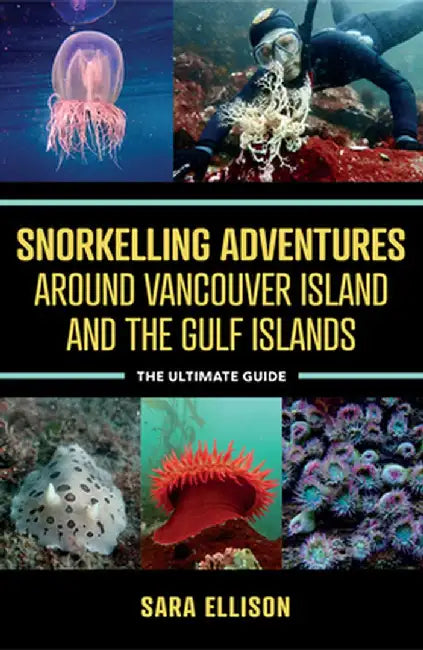 Snorkelling Adventures Around Vancouver Island and the Gulf Islands: The Ultimate Guide