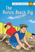 The Bonza Beach Dig by John Lockyer