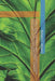 Climate Change and Natural Capital: Supporting Ecosystem Services, Biodiversity, Carbon Sequestration, Sustainable Development, and Green Infrastructu by Brears, Robert C.