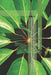 Nature-Based Solutions and Circular Design: Regenerative Strategies for Climate, Biodiversity, and Resilient Systems by Robert C. Brears
