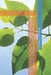 Circular Economy and Ecosystem Restoration: A Sustainable Approach to Land Management, Climate Change Solutions, Water Security, Biodiversity Conserva by Brears, Robert C.