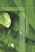 Nature Credits: A Global Climate Solutions Finance Explainer on Sustainable Finance, Biodiversity Markets, ESG Investing, Climate Adaptation, and Natu by Brears, Robert C.