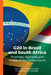 G20 in Brazil and South Africa: Priorities, Agendas and Voices of the Global South by Marta Fernández, Siphamandla Zondi, Ana Saggioro Garcia