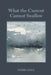What the Current Cannot Swallow by Mary Simmerling