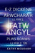 E-Z Dickens Arwcharwr Llyfr 1 a 2 Welsh Edition: Tatw Angyl; Tri by Cathy McGough