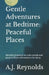 Gentle Adventures at Bedtime: Peaceful Places: Mindful journeys to calm minds and prepare little adventurers for sleep by A. J. Reynolds