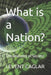 What is a Nation?: The Anatomy of Society by Levent Caglar
