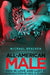 All-American Male by Neil S. Plakcy, Michael Bracken