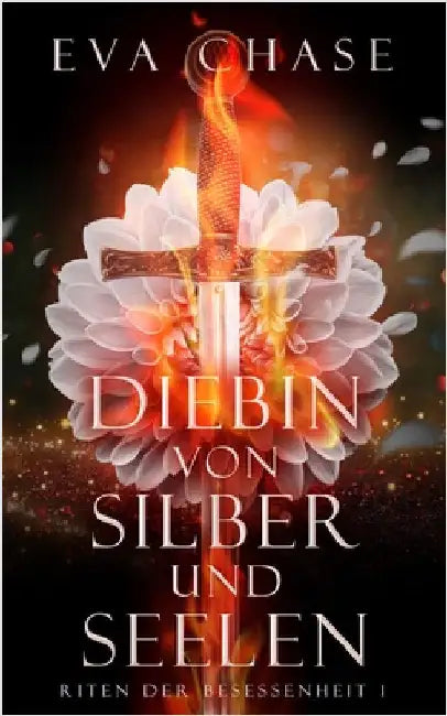 Diebin von Silber und Seelen by Chase, Eva