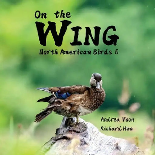 On the Wing - North American Birds 5 by Andrea Voon