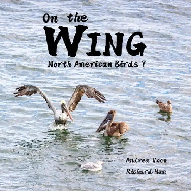 On the Wing - North American Birds 7 by Andrea Voon